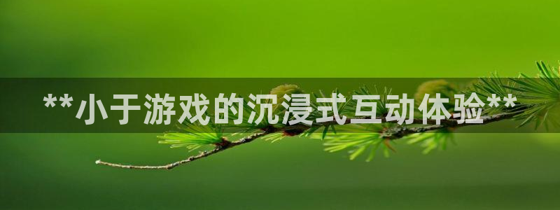 新宝gg官网登录代理：**小于游戏的沉浸式互动体验**