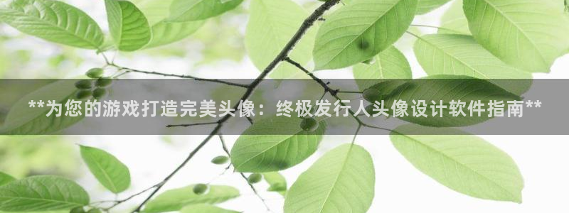 新宝gg一创造奇迹登录：**为您的游戏打造完美头像：终极发行人头像设计软件指南**