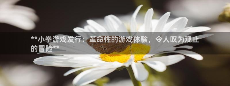 新宝gg创造奇迹登陆 127.0.0.1