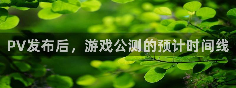 新宝gg平台—创造奇迹登录首页：PV发布后，游戏公测的预计时间线