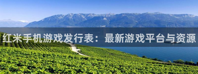 新宝gg提现不到账了?：红米手机游戏发行表：最新游戏平台与资源