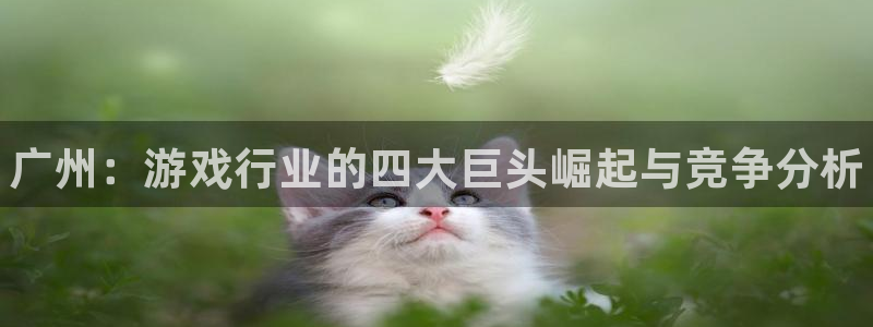 新宝gg创奇迹登录注册：广州：游戏行业的四大巨头崛起与竞争分析