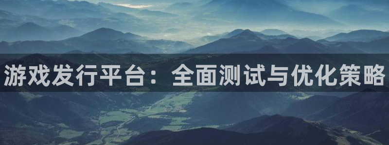 新宝gg奇迹登录怎么登录不了：游戏发行平台：全面测试与优化策略