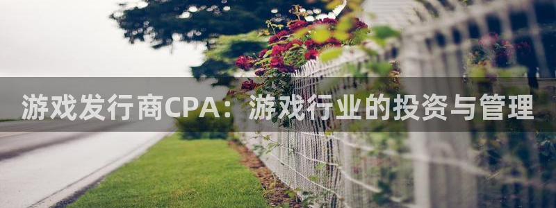 新宝gg创造奇迹代理：游戏发行商CPA：游戏行业的投资与管理