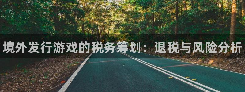 新宝gg—创造奇迹登录1956：境外发行游戏的税务筹划：退税与风险分析